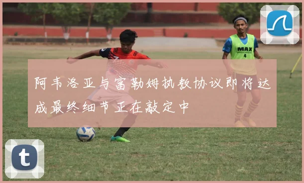 阿韦洛亚与富勒姆执教协议即将达成最终细节正在敲定中